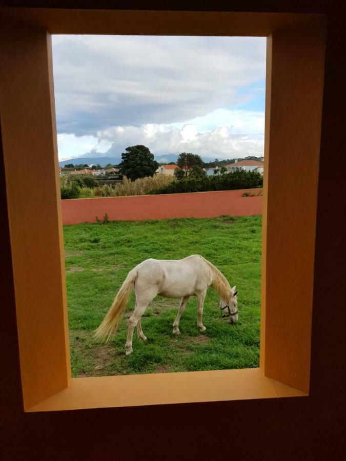 Quinta Da Falesia - Casa Amarela Ponta Delgada Exterior foto