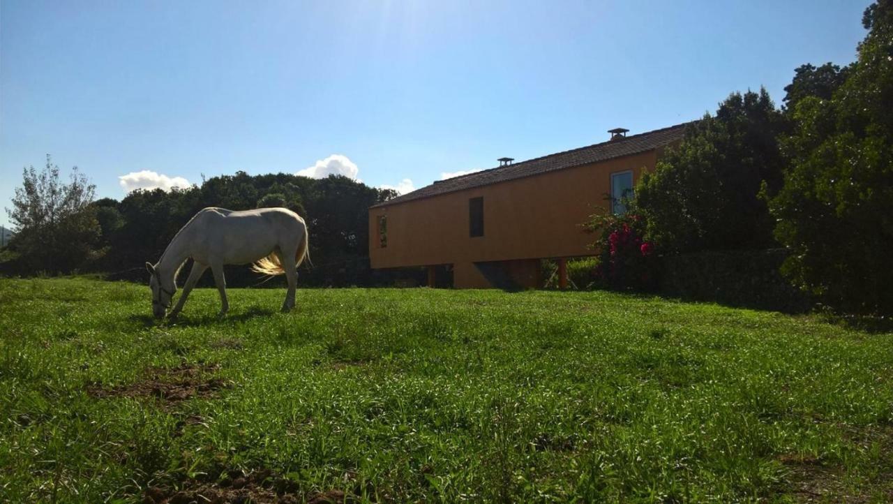 Quinta Da Falesia - Casa Amarela Ponta Delgada Exterior foto