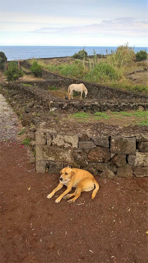 Quinta Da Falesia - Casa Amarela Ponta Delgada Exterior foto